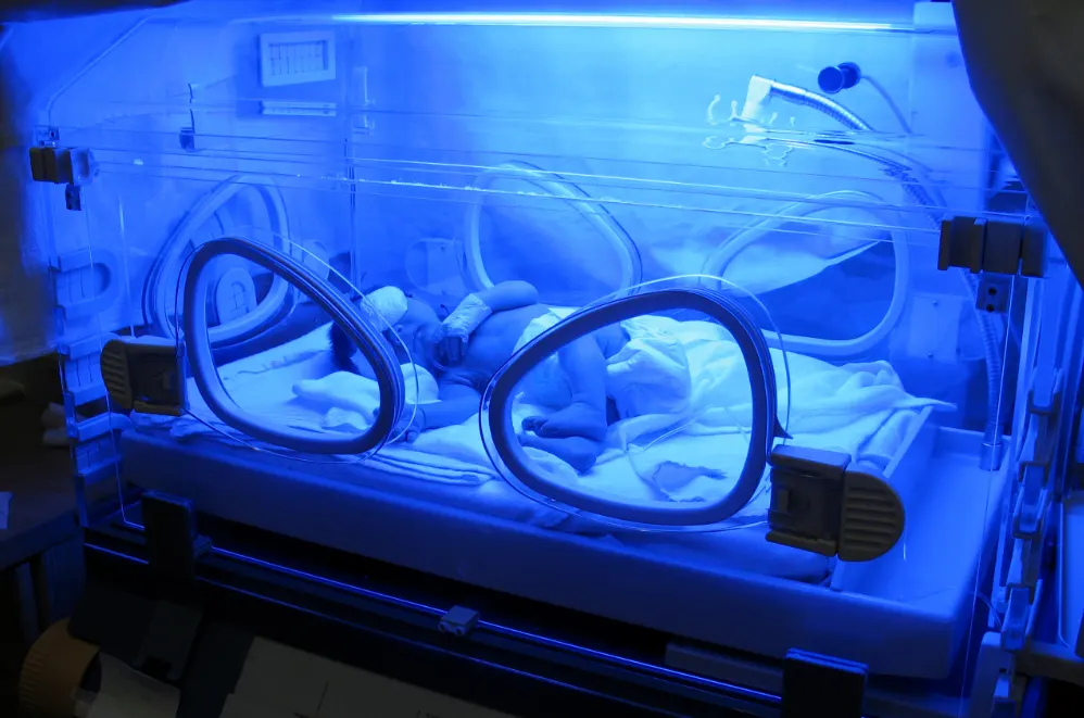 nicu-puri-bunda